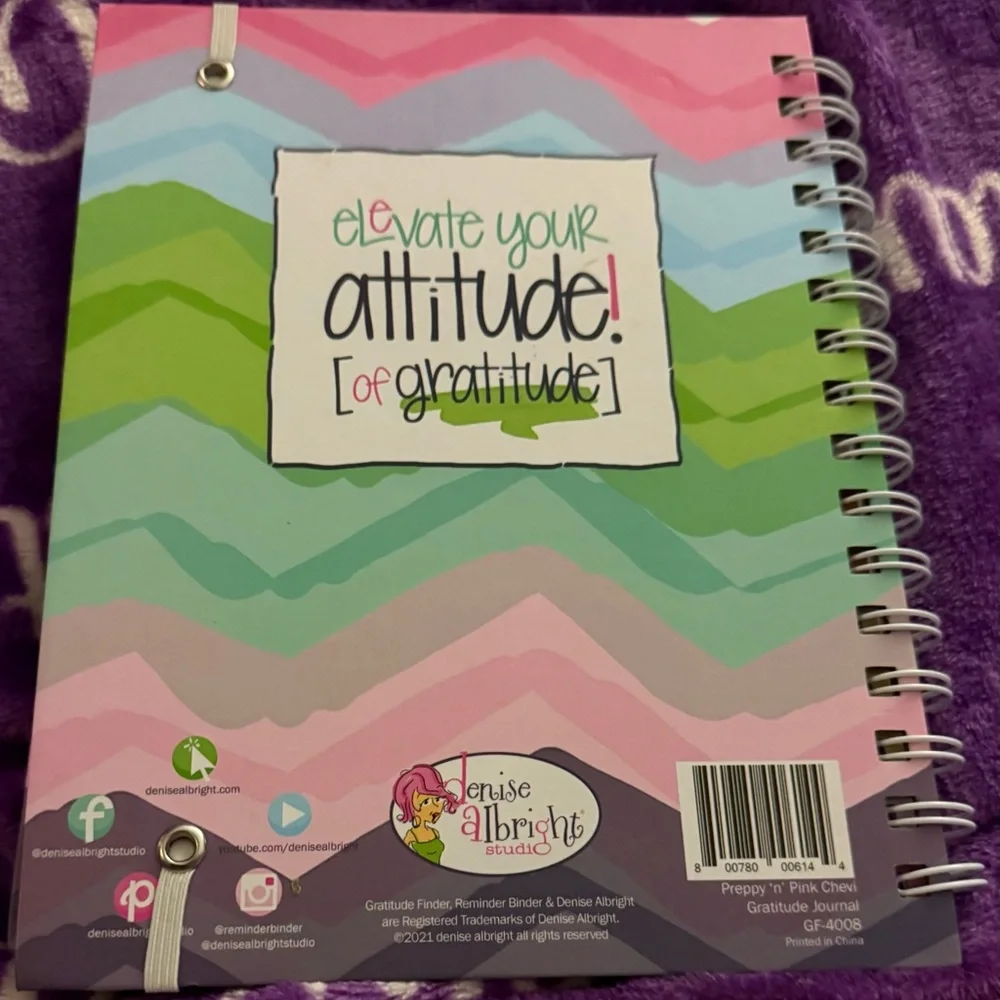 Gratitude Finder Spiral Journal - Pastel Chevron